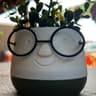 A plant pot wearing glasses